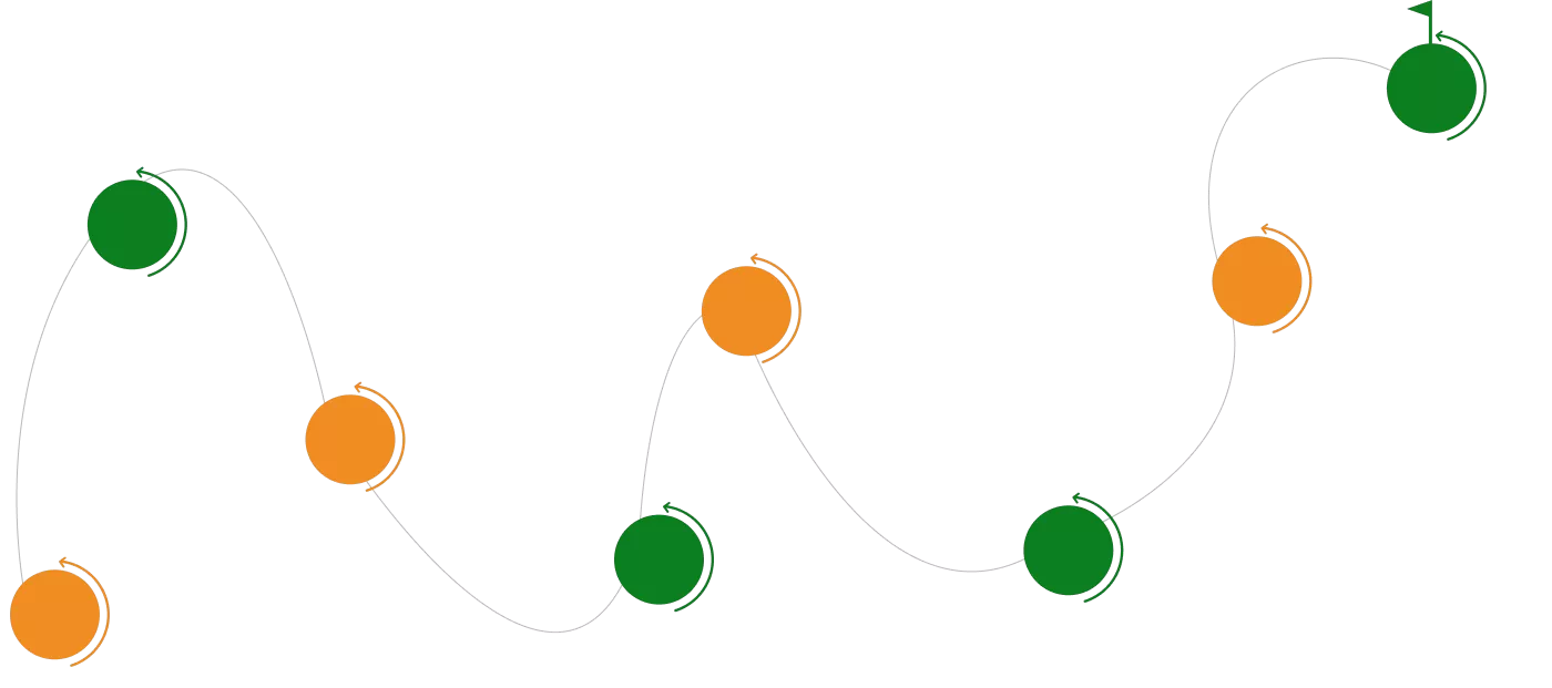 Development History