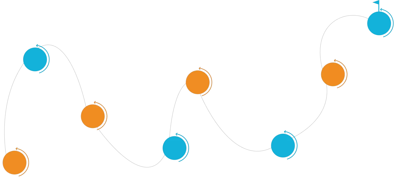 Development History